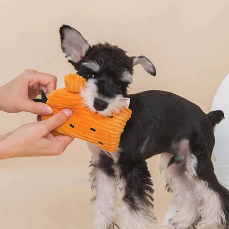 Why Do Dogs Like Squeaky Toys?