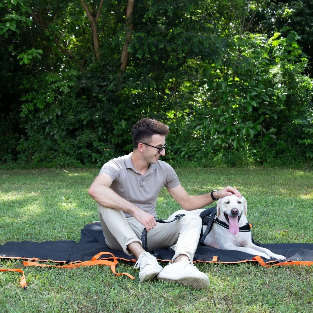 Why Does My Dog Sit on Me?