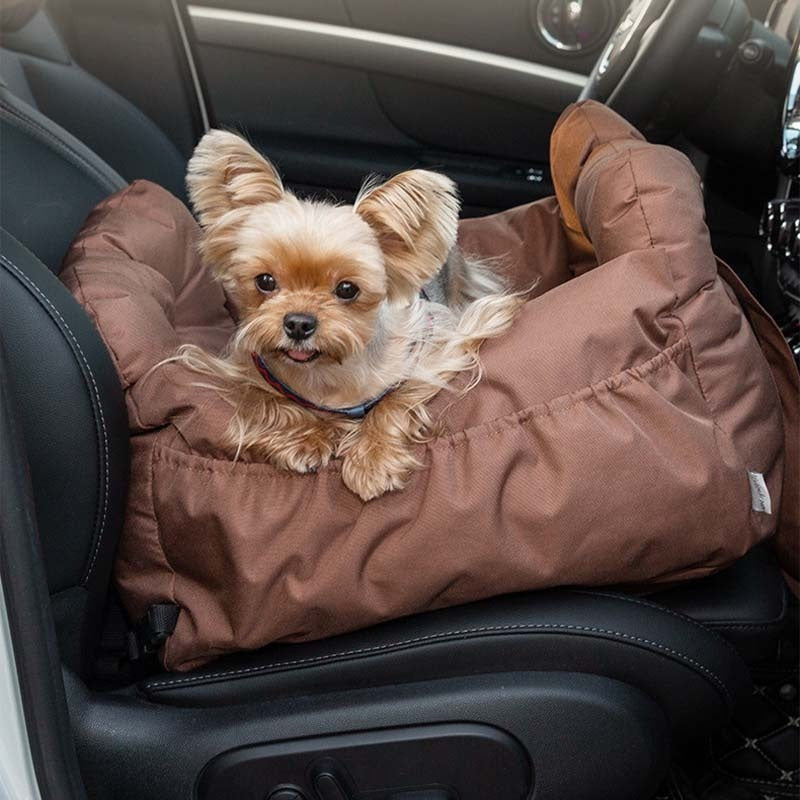 How Can I Keep My Dog Safe in the Car?
