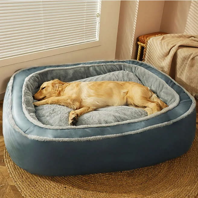 Do Orthopedic Dog Beds Really Help?