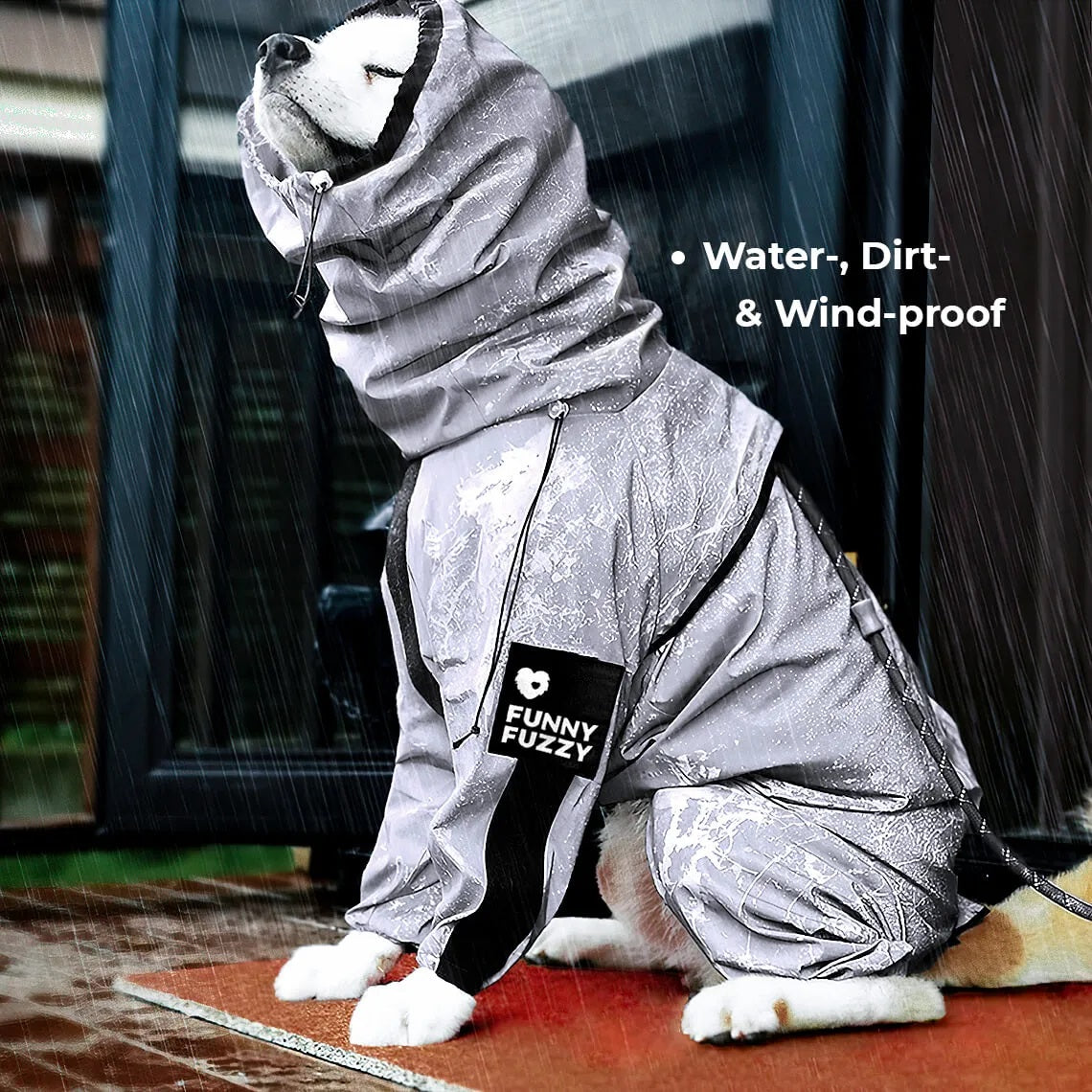 Should a Dog Wear a Waterproof Coat?