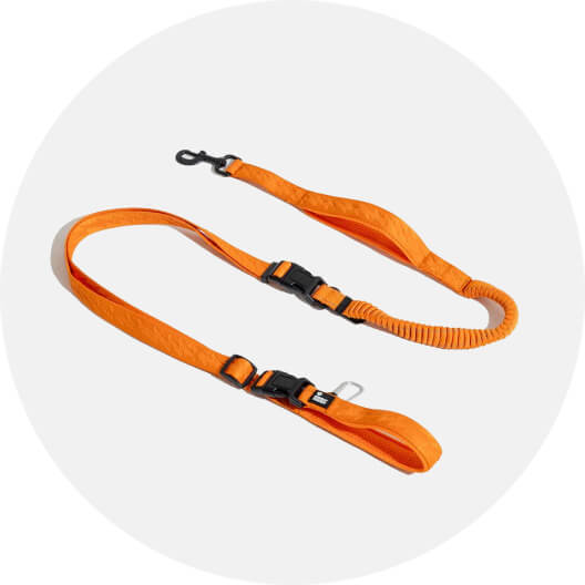 Leads & Harnesses & Collars