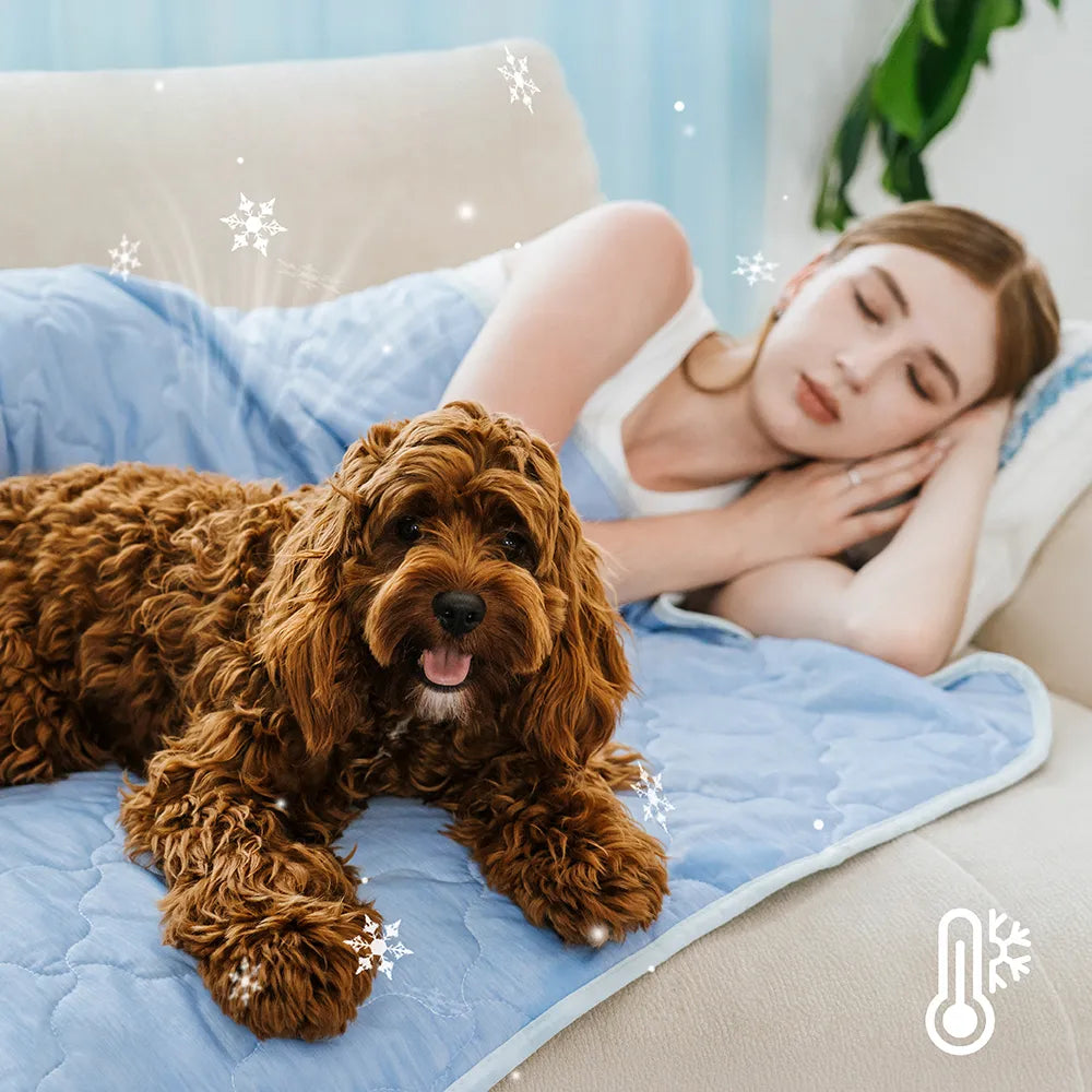 Double-Sided Cooling Dog Blanket - Chill Nest
