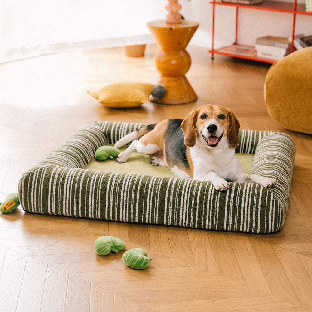 Orthopedic All-season Memory Foam Bolster Boucle Dog Bed - Funnyfuzzy SnugNest
