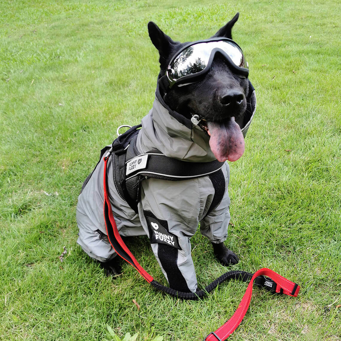 Reflective All-weather Waterproof Space Coat Dog Rain Coat