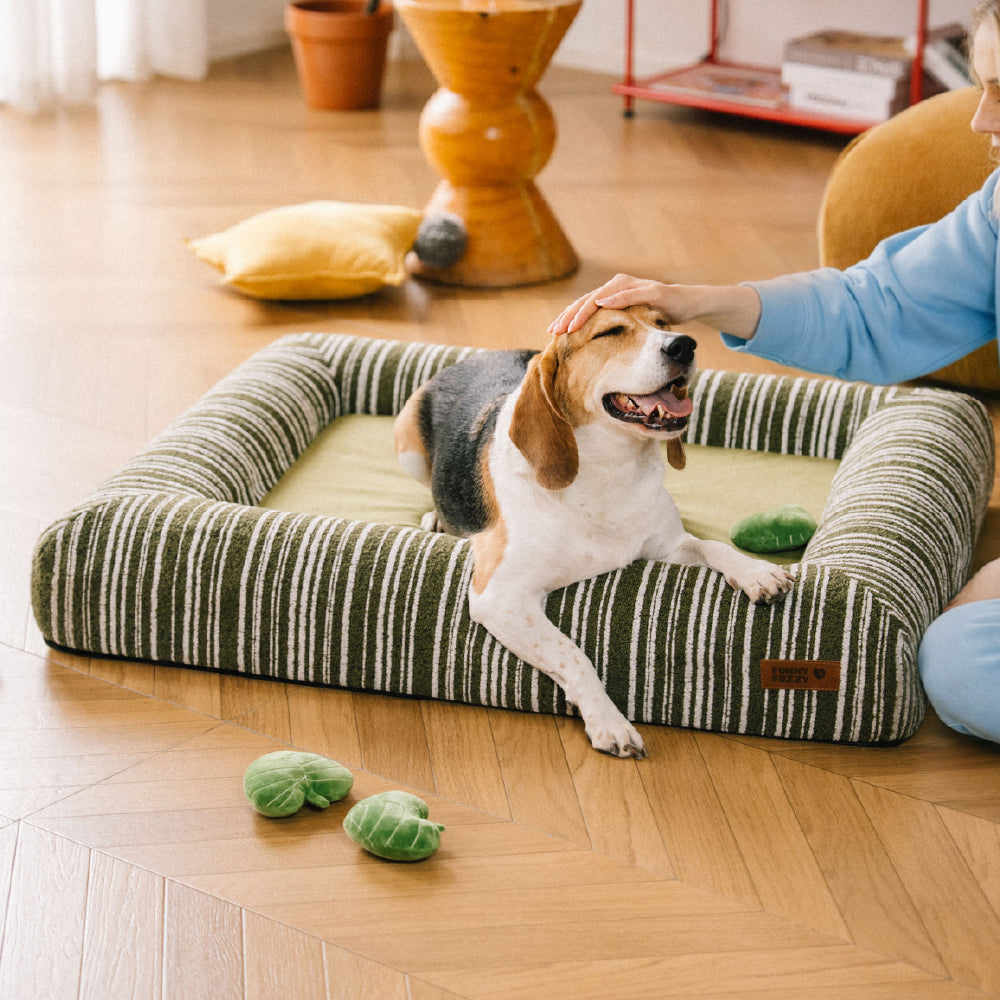 Orthopedic All-season Memory Foam Bolster Boucle Dog Bed - Funnyfuzzy SnugNest