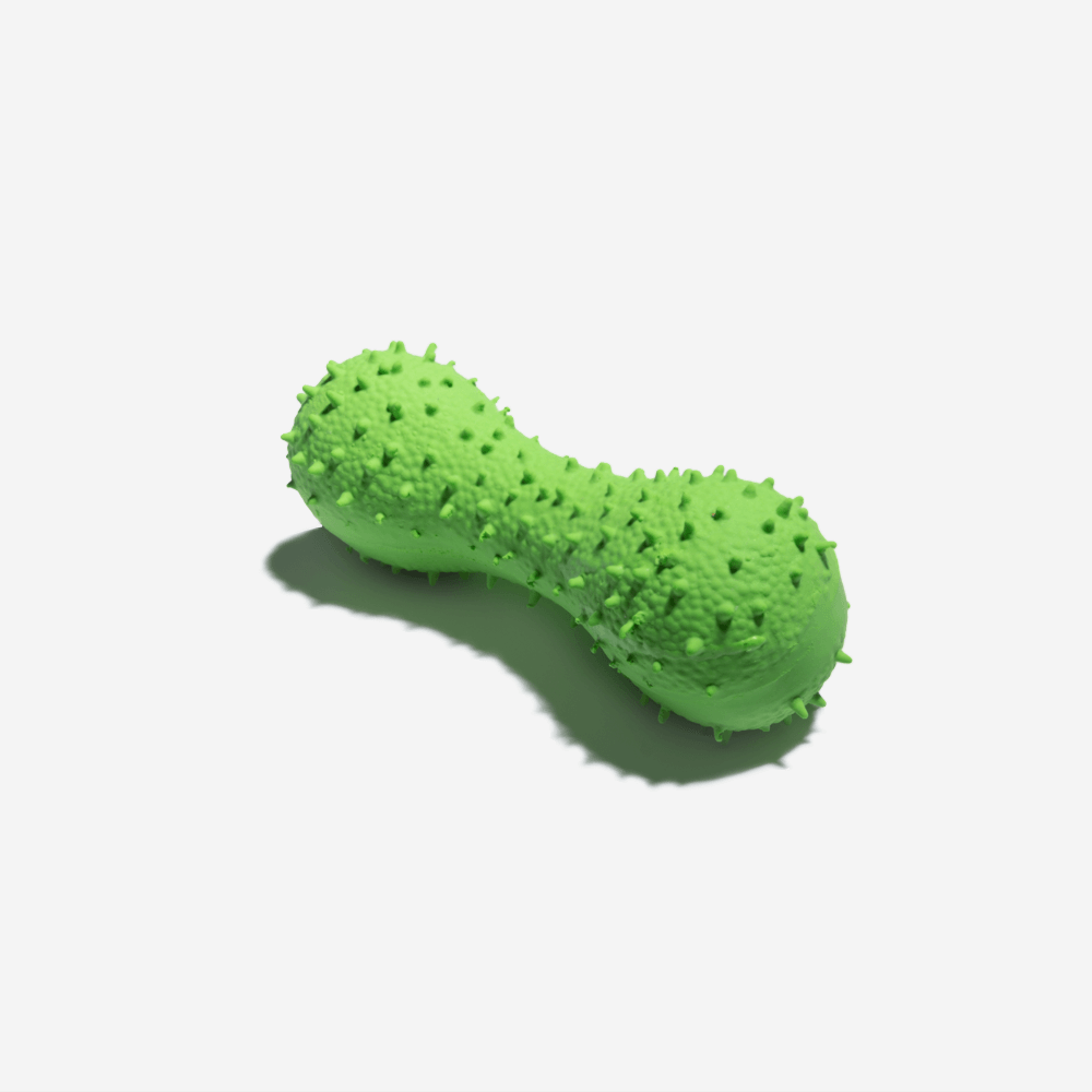 Squeaky Rubber Dog Chew Toys