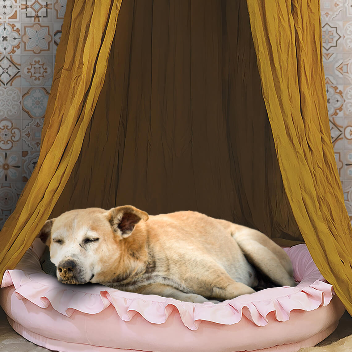 Soft Cosy Dog Tent Dog Teepee