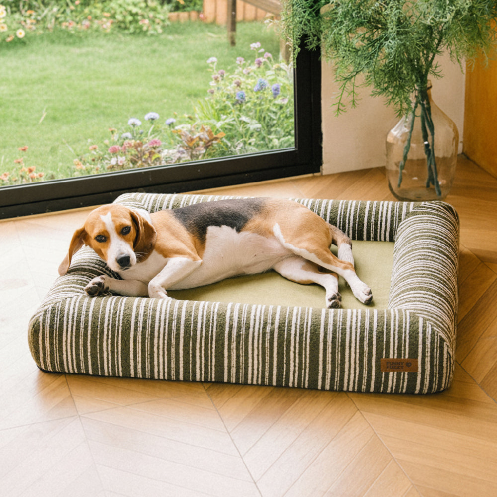 Orthopedic All-season Memory Foam Bolster Boucle Dog Bed - Funnyfuzzy SnugNest