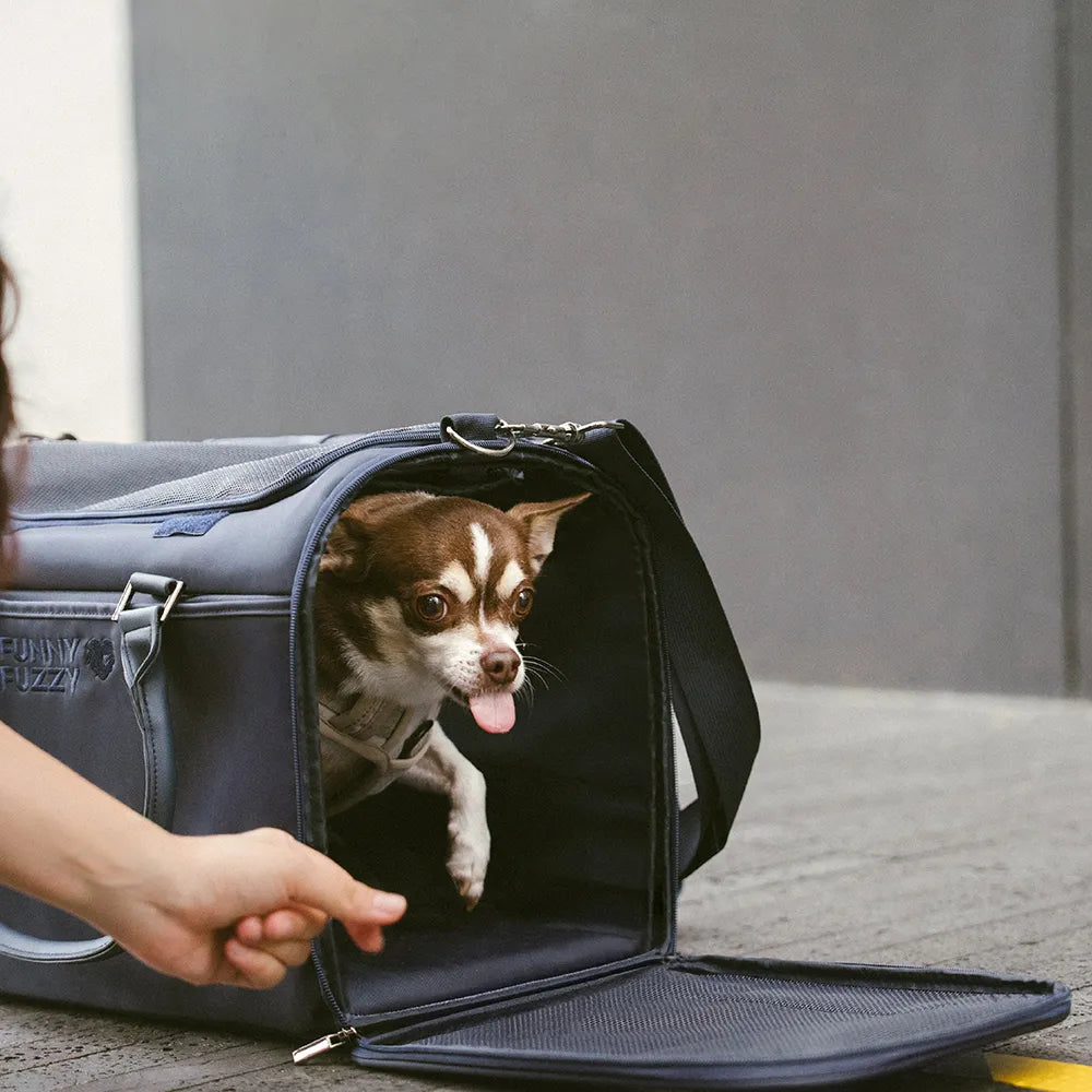 Cat Airline-Compliant Soft-Sided Carriers-Urban Roaming