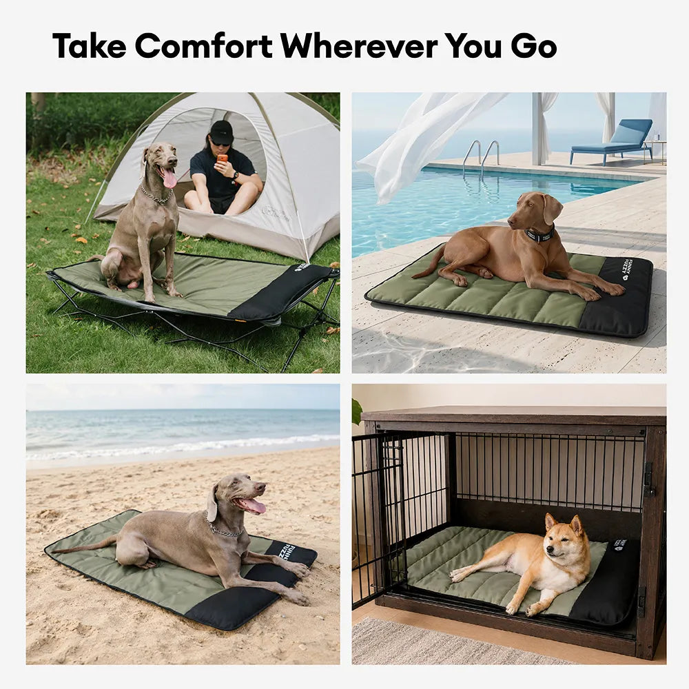 Foldable Elevated Dog Bed With Waterproof Mat-Urban Roaming