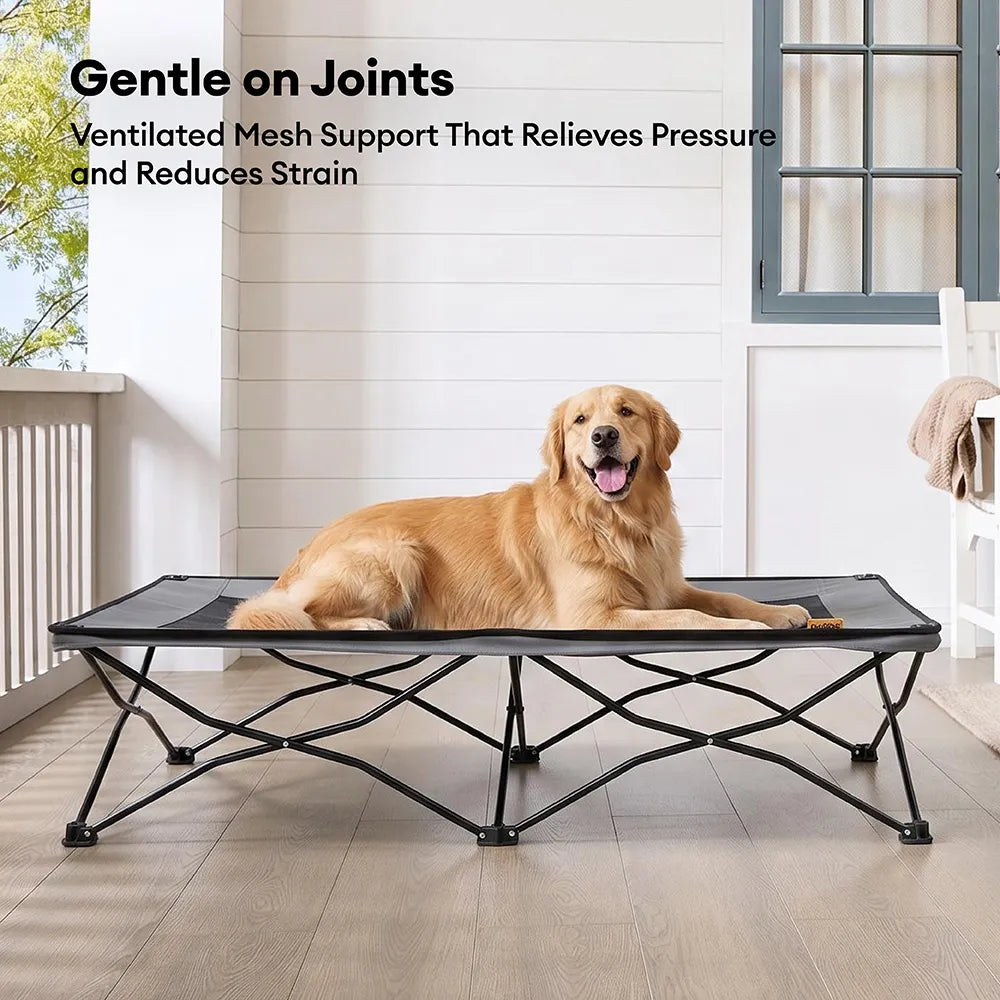 Cooling Foldable Elevated Outdoor Dog Bed-Urban Roaming