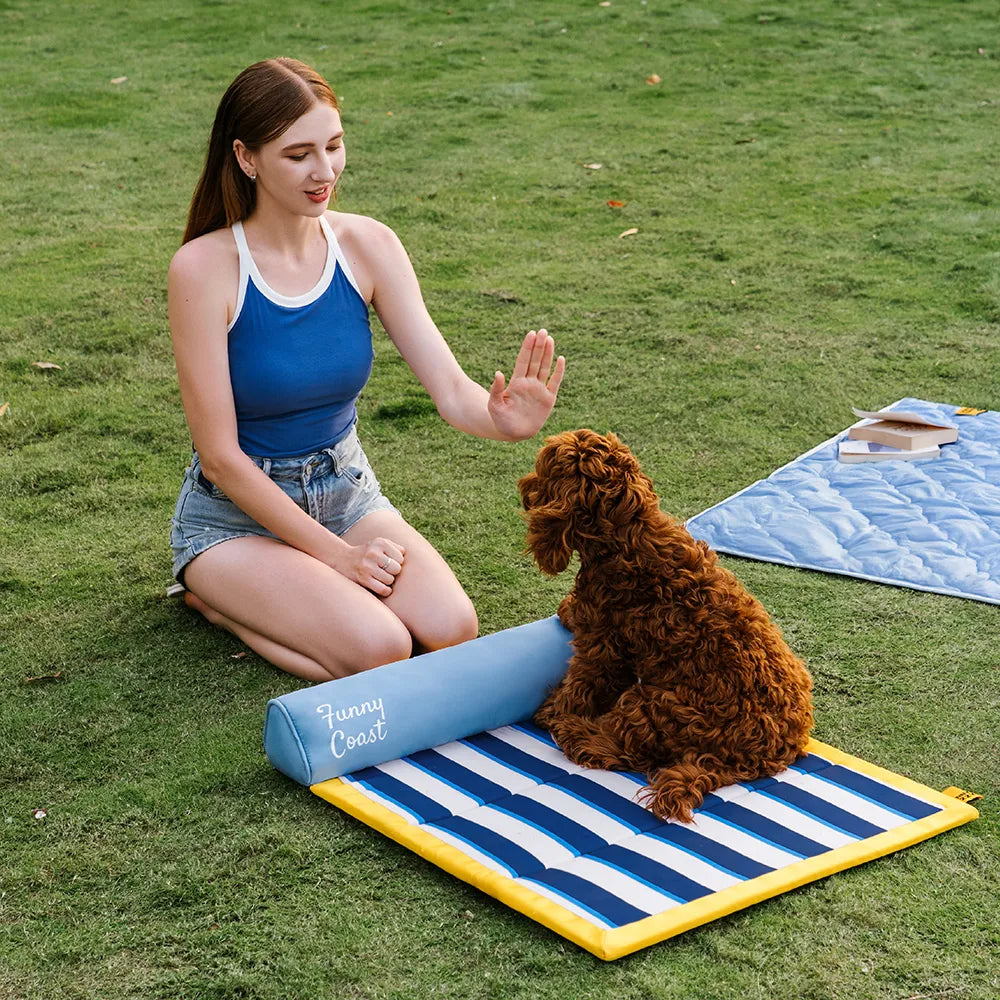 Portable Cooling Cat & Dog Mat - Chill Nest
