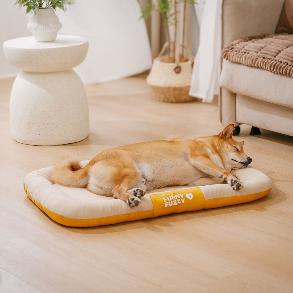 Waterproof & Chew-proof Memory Foam Orthopedic Dog Mat for Crate