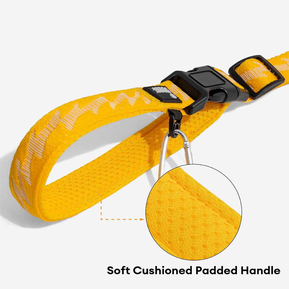 Dual-sided Reflective Adjustable Versatile Soft Handle Nylon Large Dog Leads - Flexi Walker
