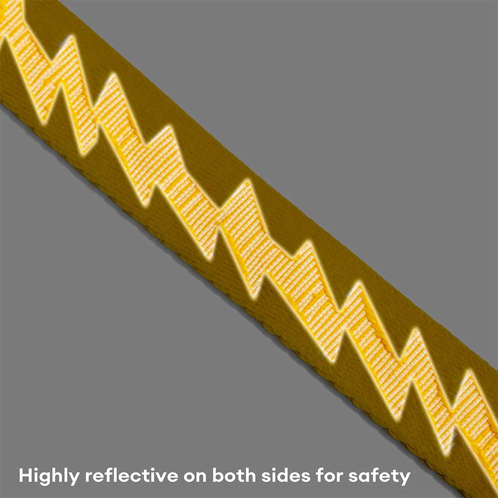 Dual-sided Reflective Adjustable Versatile Soft Handle Nylon Large Dog Leads - Flexi Walker