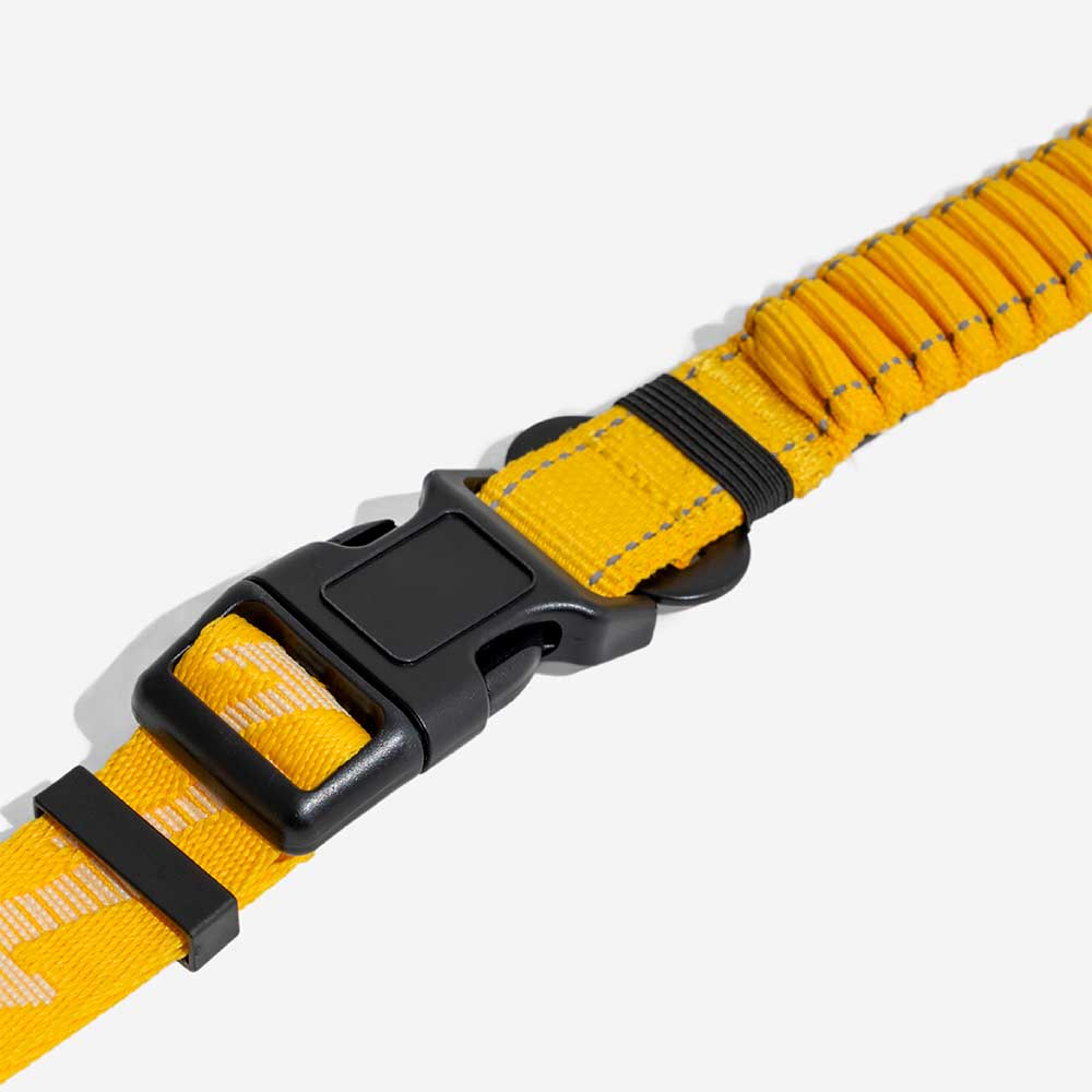 Dual-sided Reflective Adjustable Versatile Soft Handle Nylon Large Dog Leads - Flexi Walker