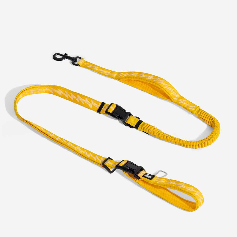 Dual-sided Reflective Adjustable Versatile Soft Handle Nylon Large Dog Leads - Flexi Walker