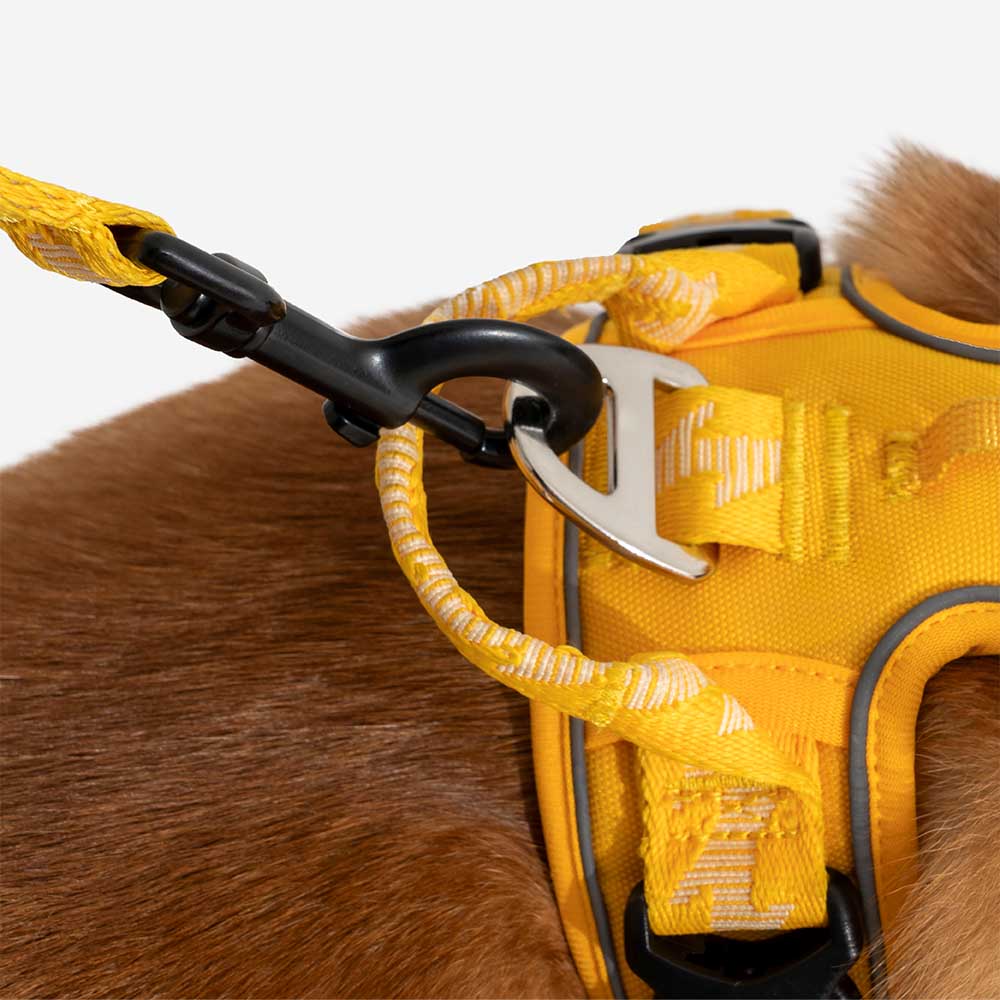 Dual-sided Reflective Adjustable Versatile Soft Handle Nylon Large Dog Leads - Flexi Walker