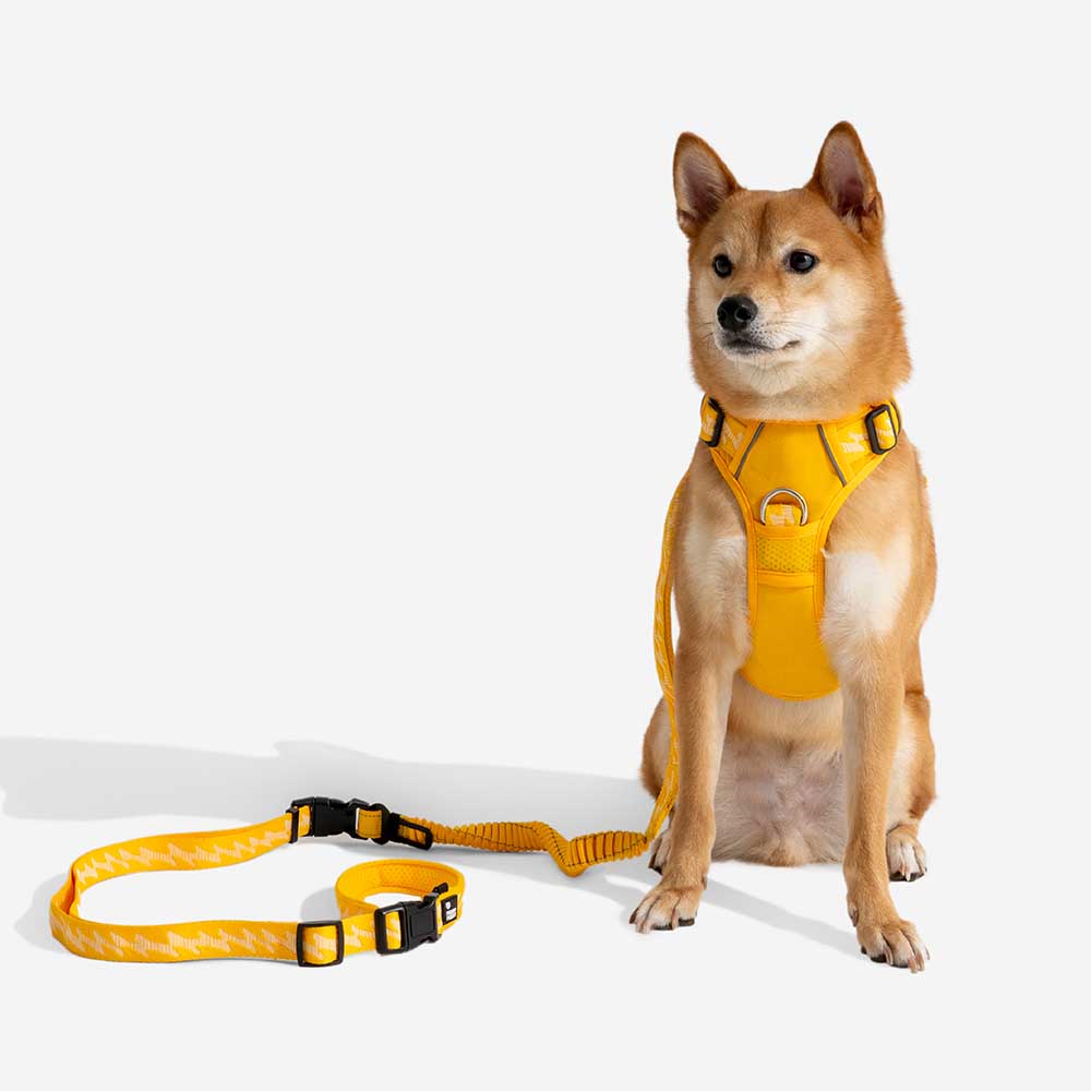 Dual-sided Reflective Adjustable Versatile Soft Handle Nylon Large Dog Leads - Flexi Walker