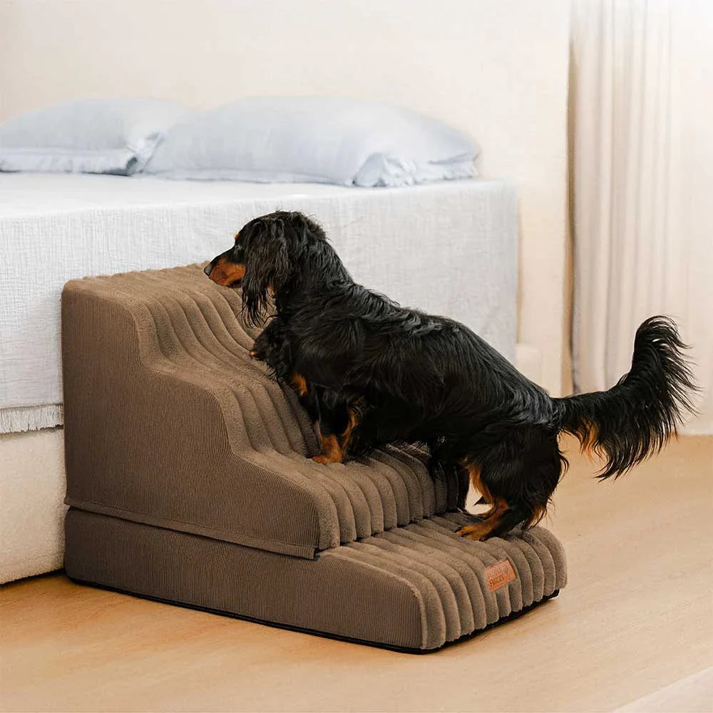 2 in 1 Fluffy Plush Sponge Detachable Pet Step&Bed - CreamyRamp