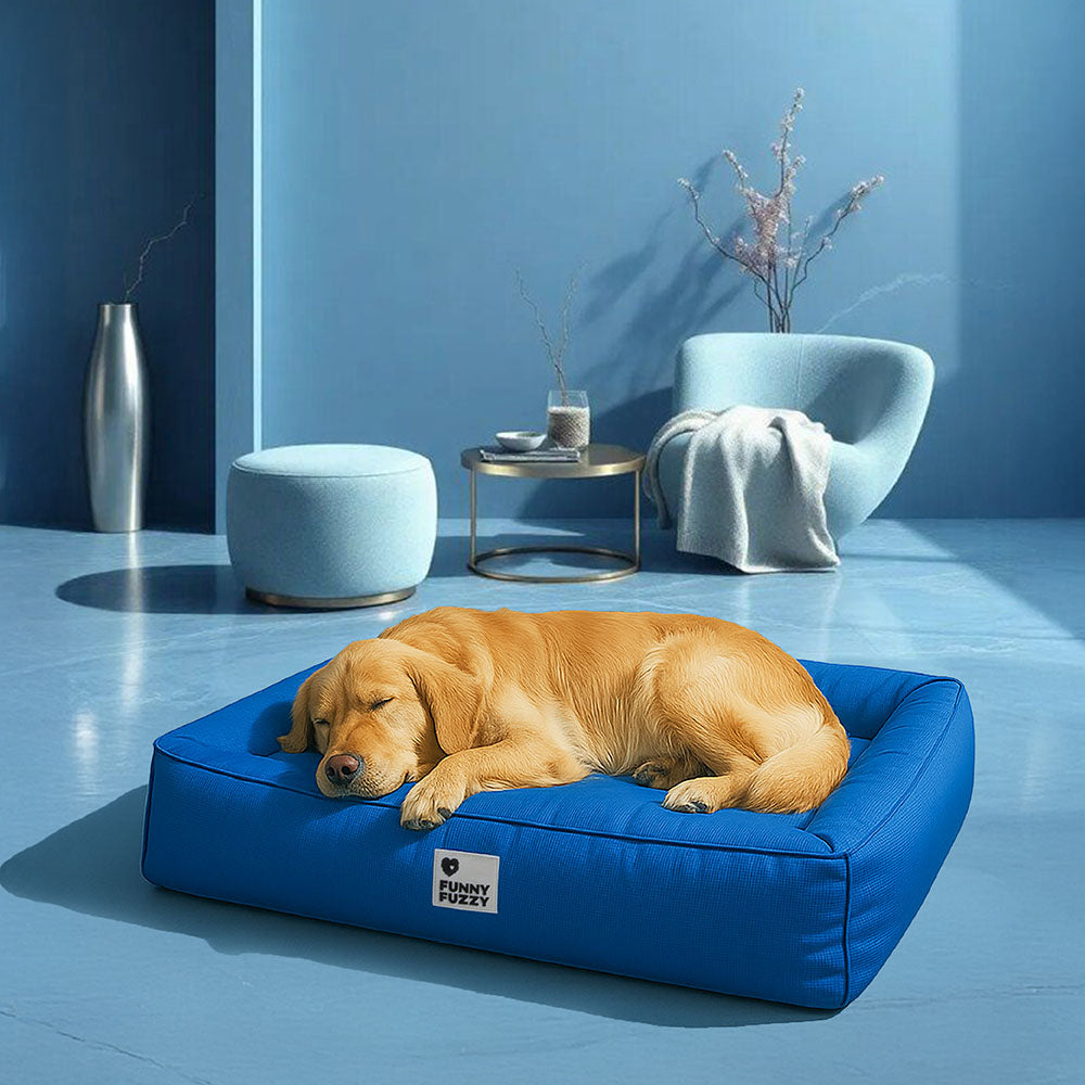 Fully Orthopedic Surround Support Waterproof Large Dog Bed - Pet-Friendly Bedroom