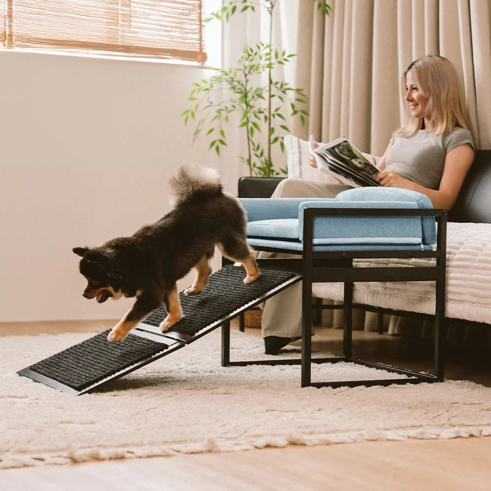 Elevated Pet Sofa Bed with Stairs Ramp for Bedside Lounge or Dog Window Perch - Pet-Friendly Bedroom