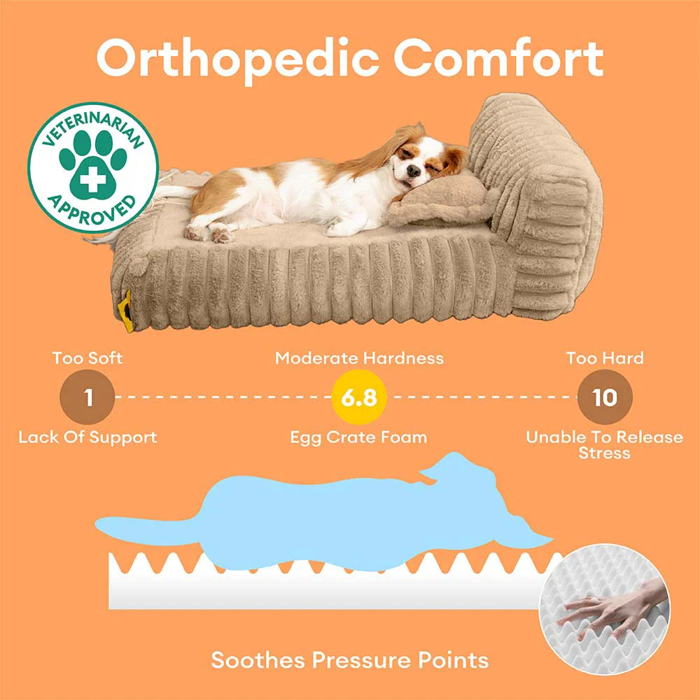 Mini Plush Home-Style Backrest Orthopaedic Bed for Small Dogs - TinyNest