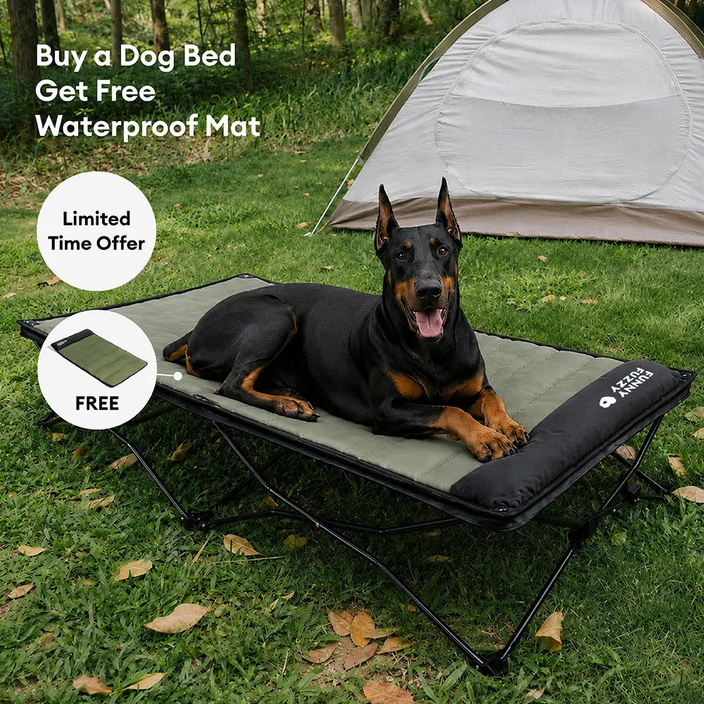 Foldable Elevated Dog Bed With Waterproof Mat-Urban Roaming