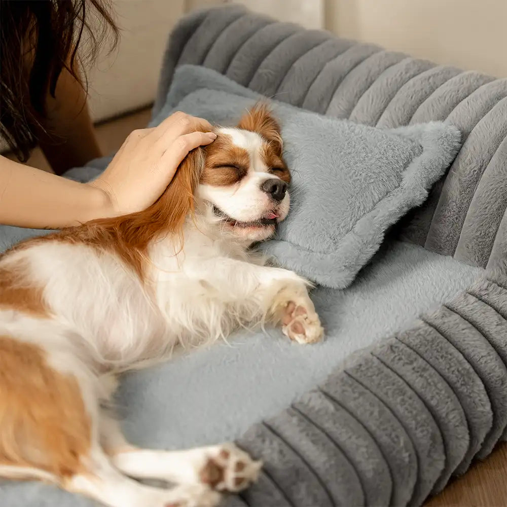 Mini Plush Home-Style Backrest Orthopaedic Bed for Small Dogs - TinyNest