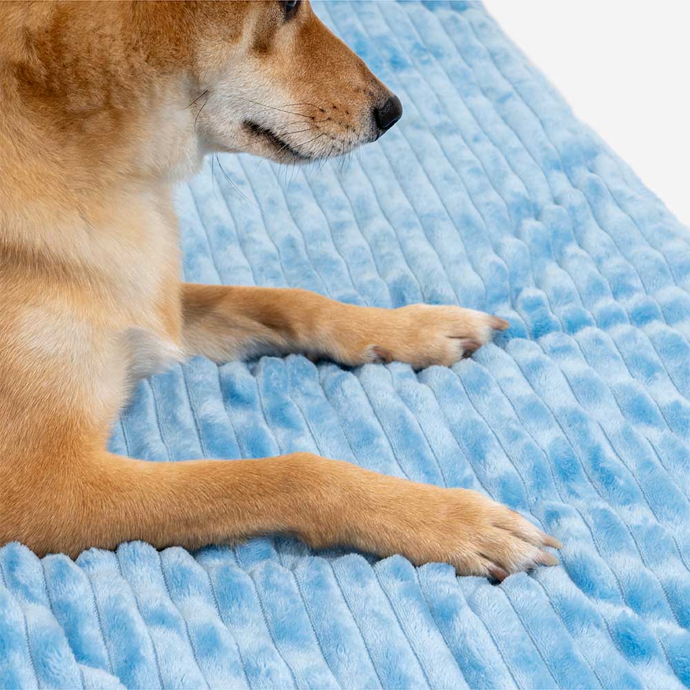 Cosy Orthopaedic Kids Indoor Play Castle Bed Dog Tent Bed - Fairytale Dreamland