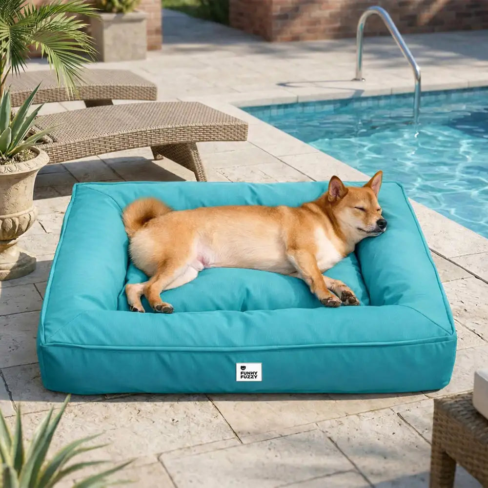 Fully Orthopaedic Surround Support Waterproof Fabric Anti-Anxiety Large Dog Bed
