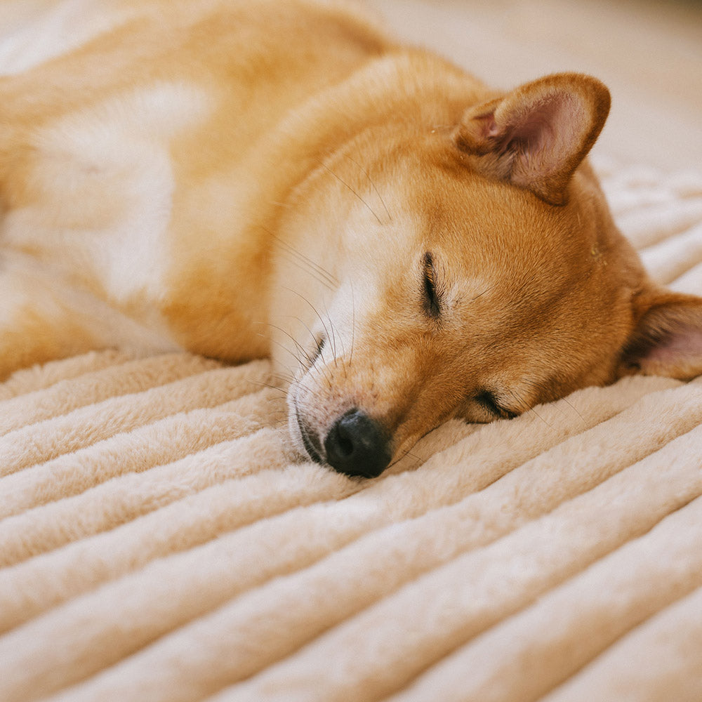 Fluffy Faux Rabbit Fur Washable Warm Pet Mat - ComfyEase