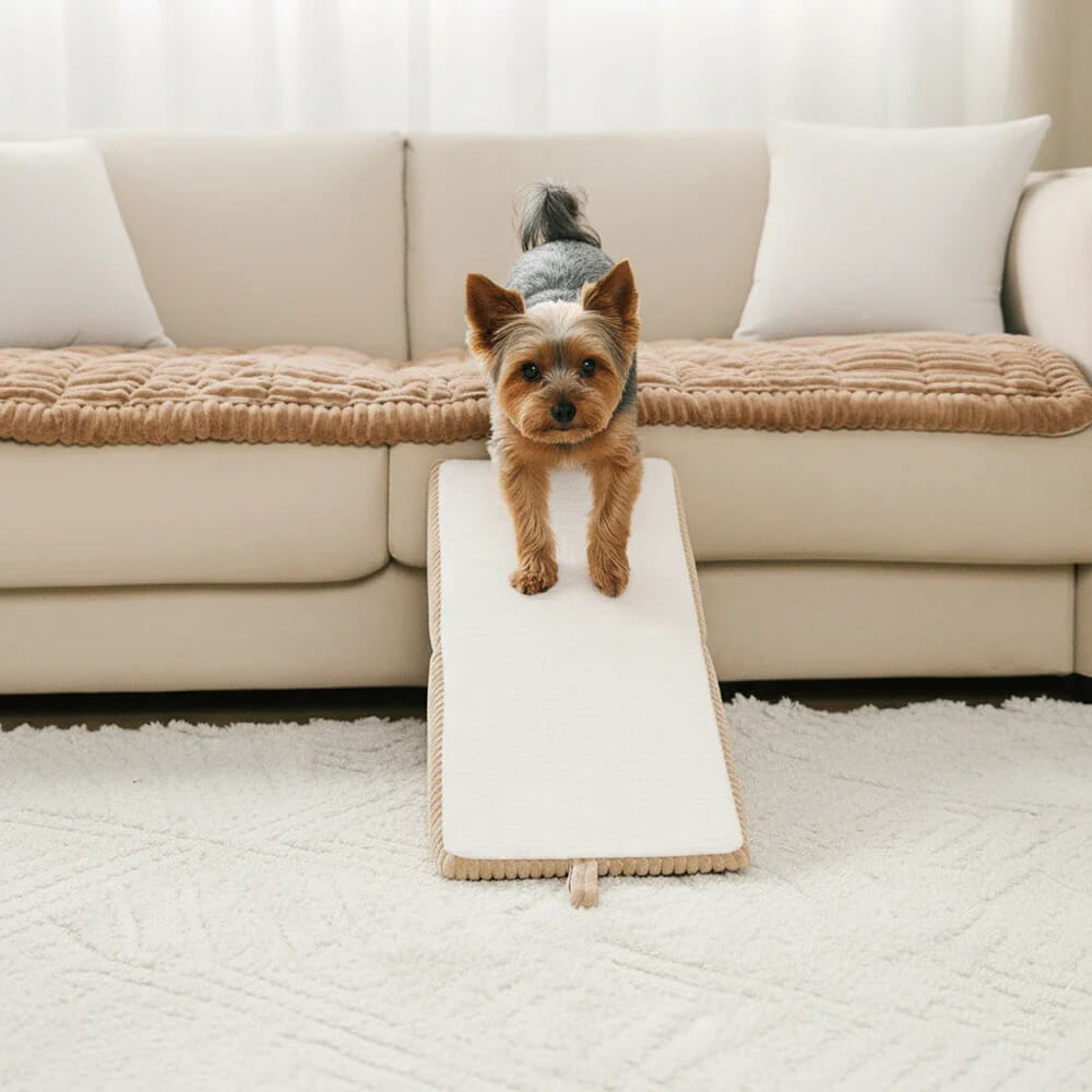 3-in-1 Comfy Corduroy Reinforced Alloy Pet Ramp & Side Stool – StepSure
