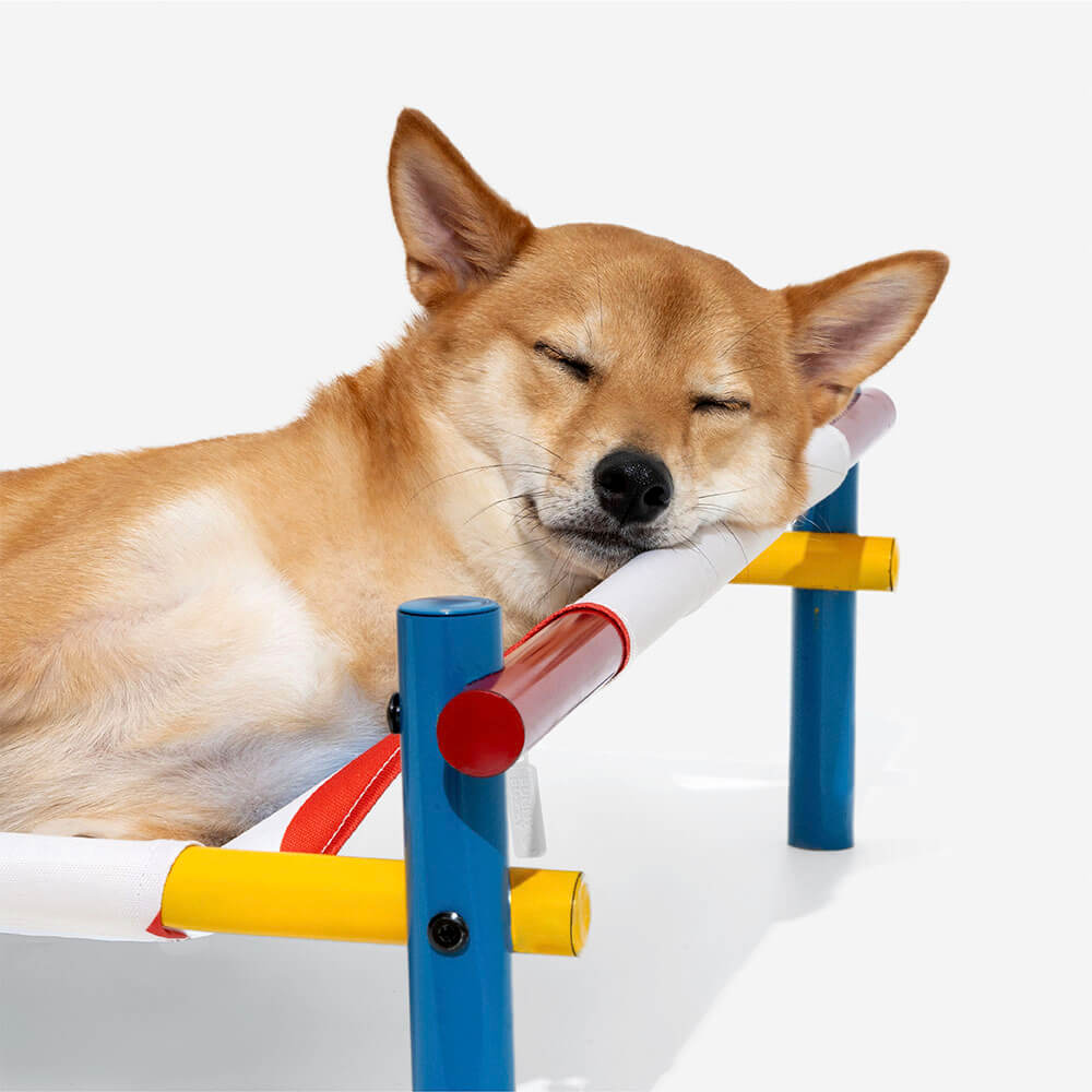 Vibrant Summer Print Style Aluminium Elevated Dog Bed - Summer Paradise