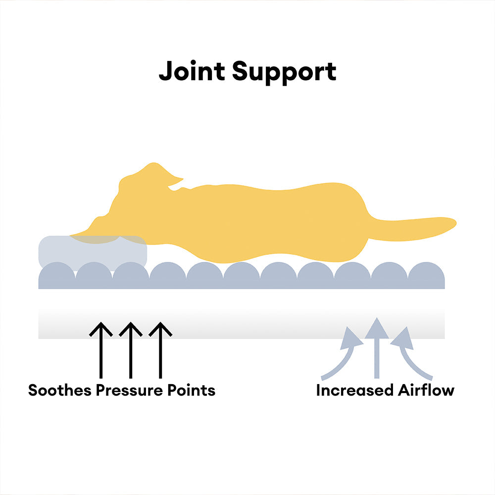 Large Washable Fluffy Orthopaedic Soft Dog Sofa Bed-Snoozy Dream