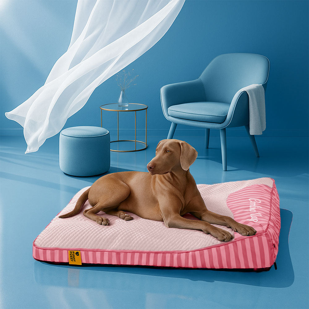 Large Washable Cooling Non-slip Outdoor Dog Mat - Cooling Nap