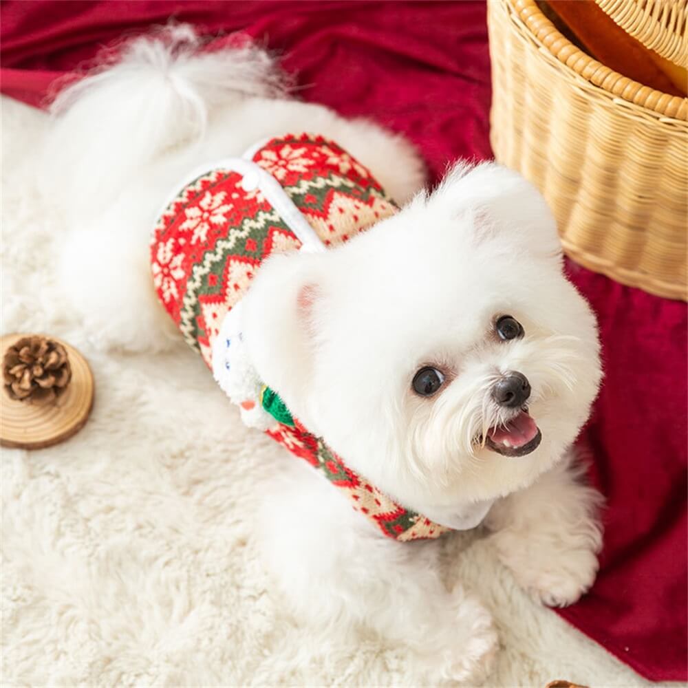 Festive Bear Knit Dog Sweater – Cosy and Perfect for the Holidays