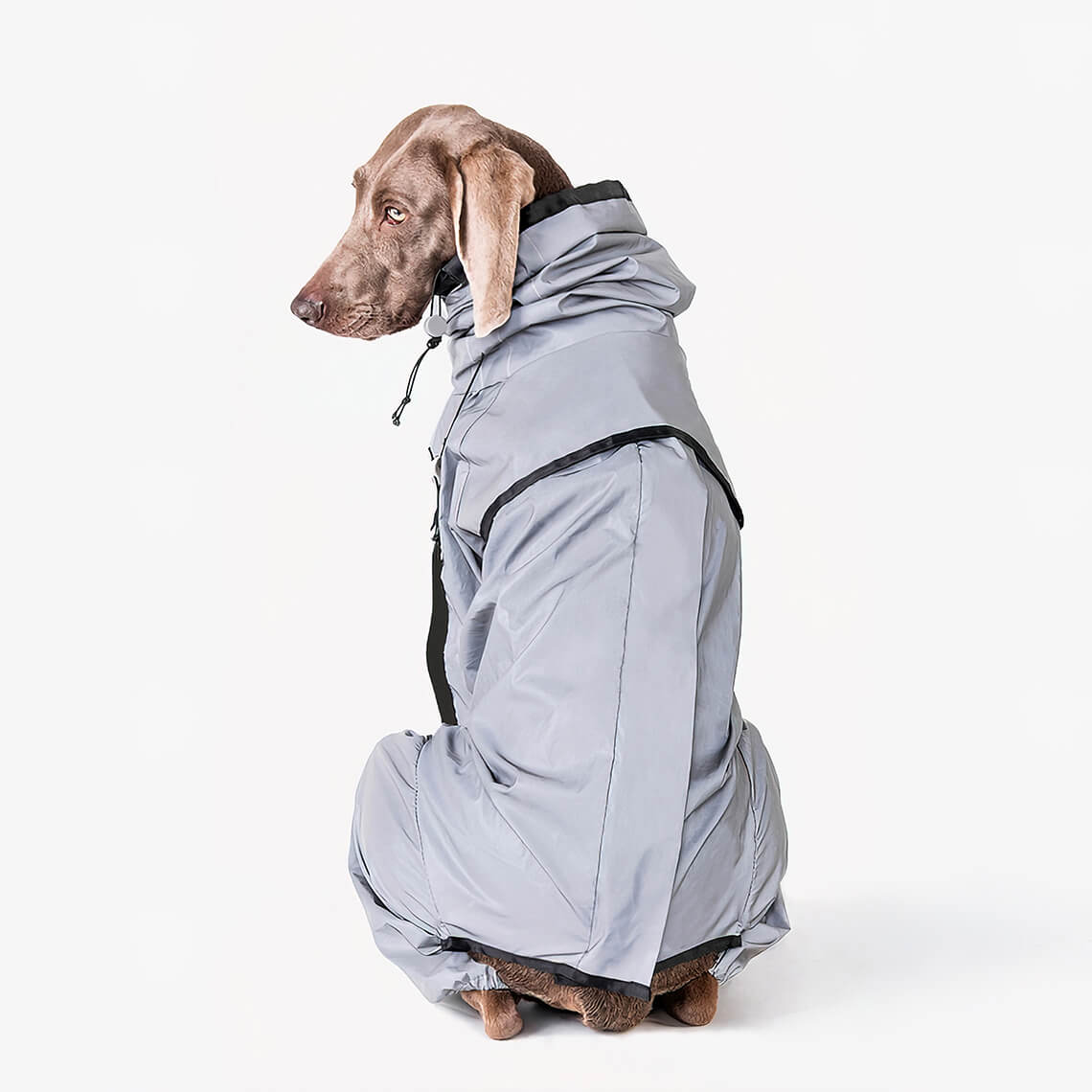 Reflective All-weather Waterproof Space Coat Dog Rain Coat