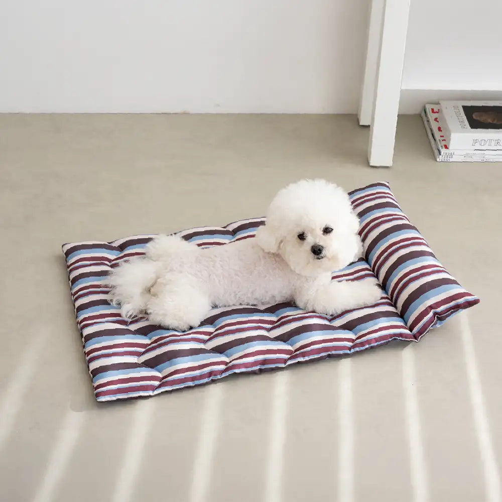 All-Season Breathable Double-Sided Neck Support Pillow Dog Mat