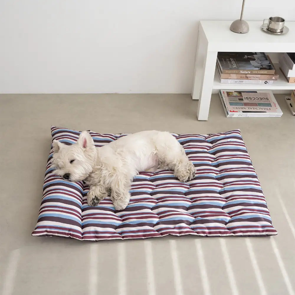 All-Season Breathable Double-Sided Neck Support Pillow Dog Mat