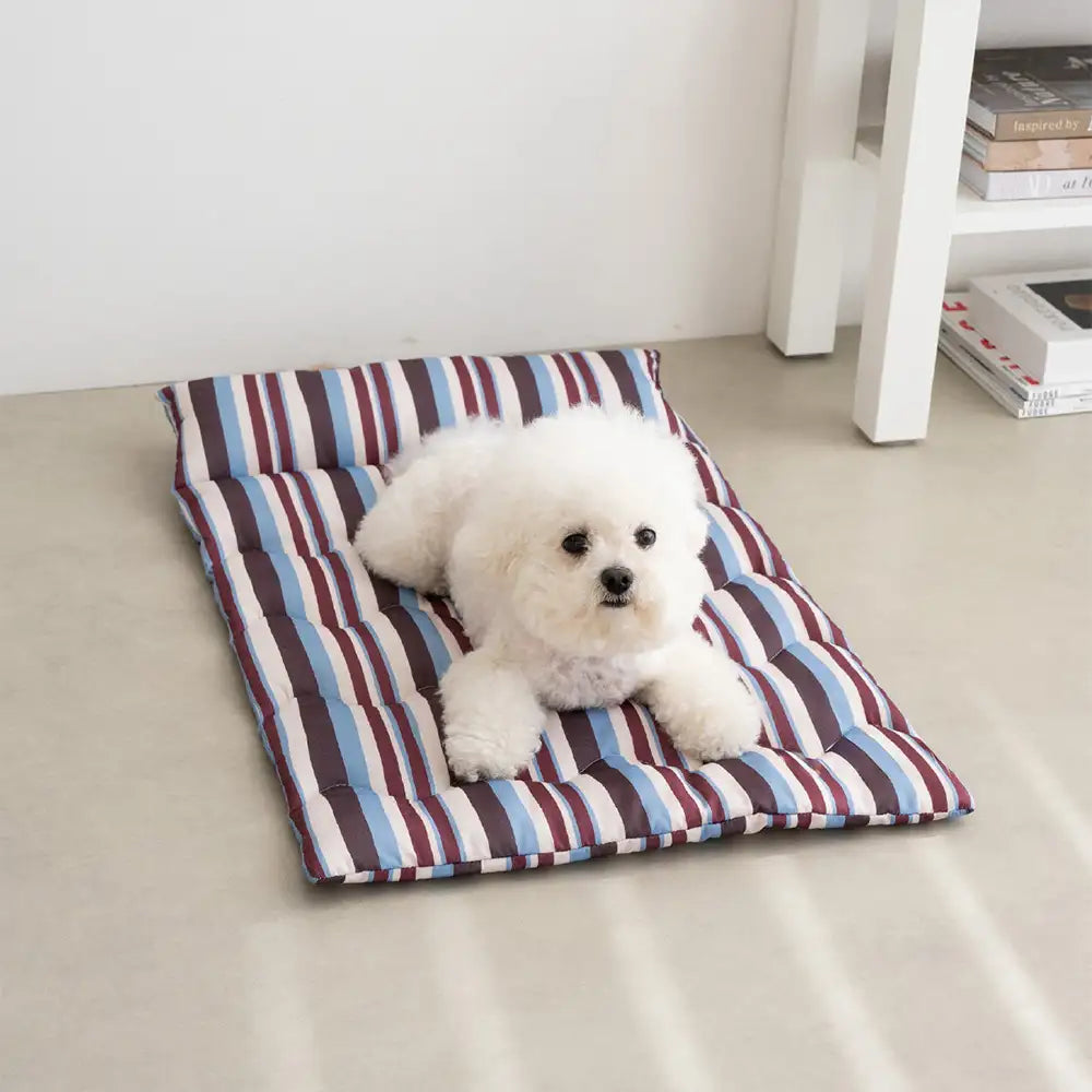 All-Season Breathable Double-Sided Neck Support Pillow Dog Mat