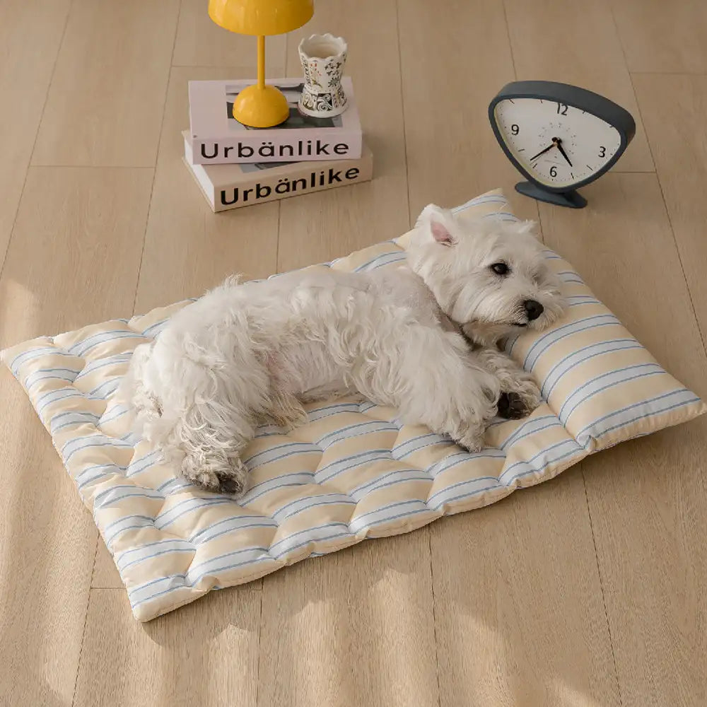 All-Season Breathable Double-Sided Neck Support Pillow Dog Mat