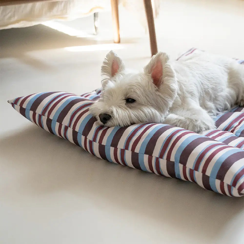 All-Season Breathable Double-Sided Neck Support Pillow Dog Mat