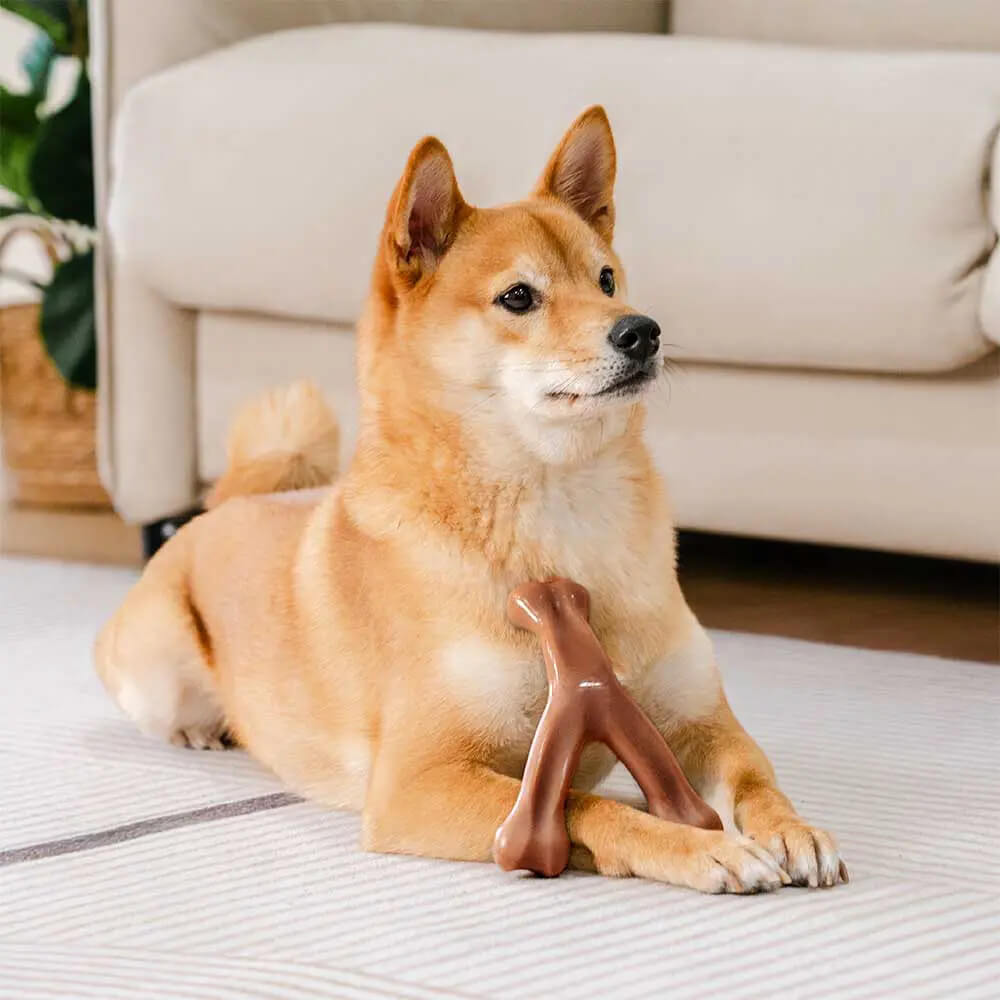 Bacon Flavoured Durable Teething Bones Dog Chew Toy