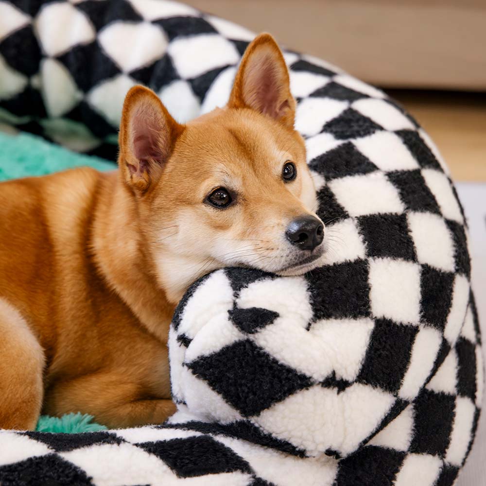 Classic Argyle Washable Bolster Donut Dog Bed - Cosy Haven