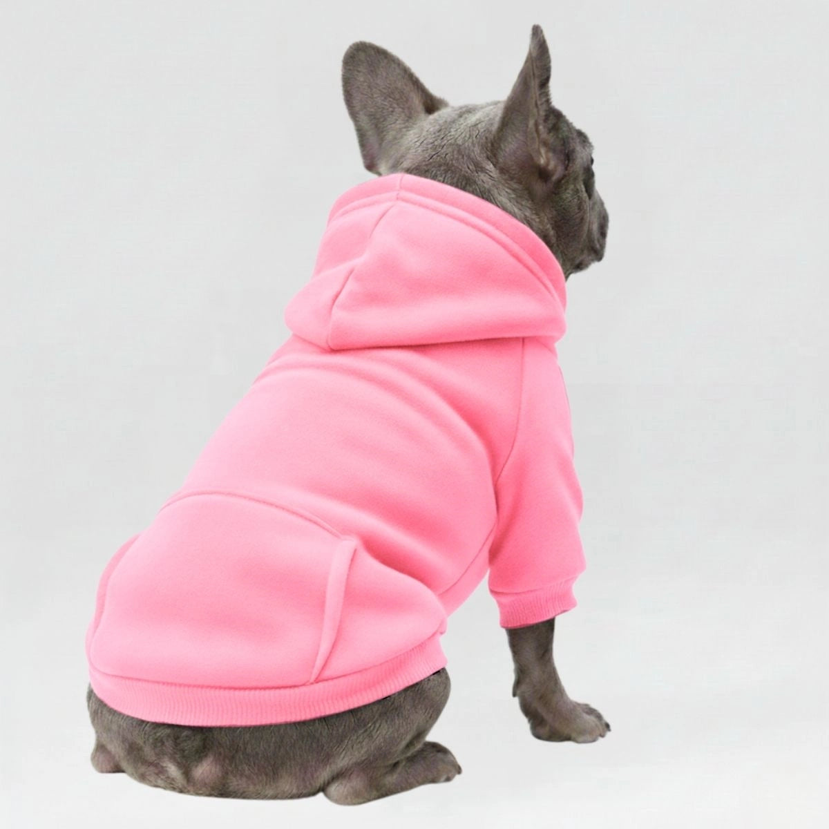 Autumn and Winter Pocket Sweatshirt Double Legs Sports Style MultiColour Pet Dog Clothes Dog Hoodie