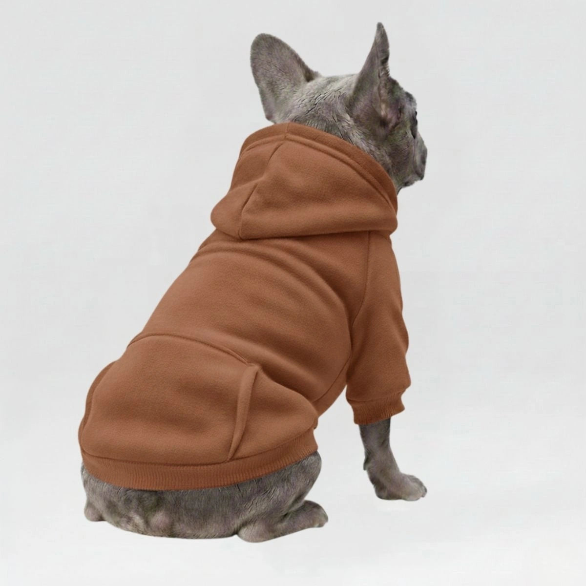 Autumn and Winter Pocket Sweatshirt Double Legs Sports Style MultiColour Pet Dog Clothes Dog Hoodie