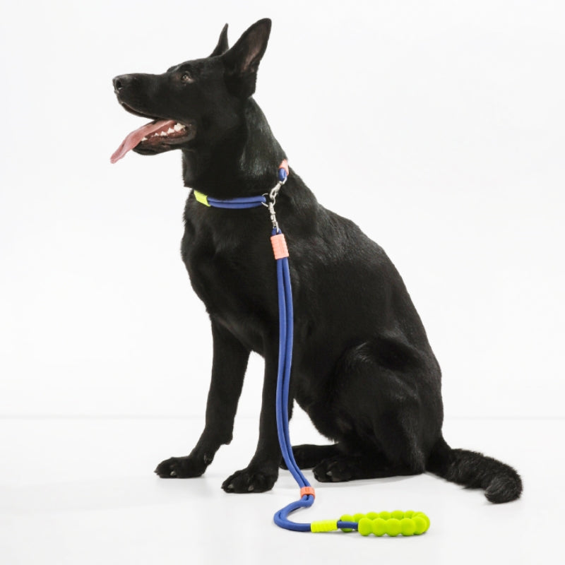 Cotton Candy Dual-Section Braided Dog Walking Lead