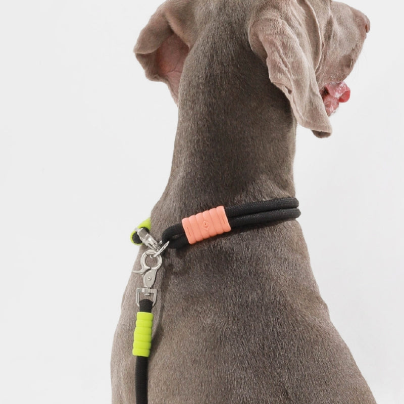 Cotton Candy Dual-Section Braided Dog Walking Lead